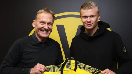 的双重能力 的双重能力